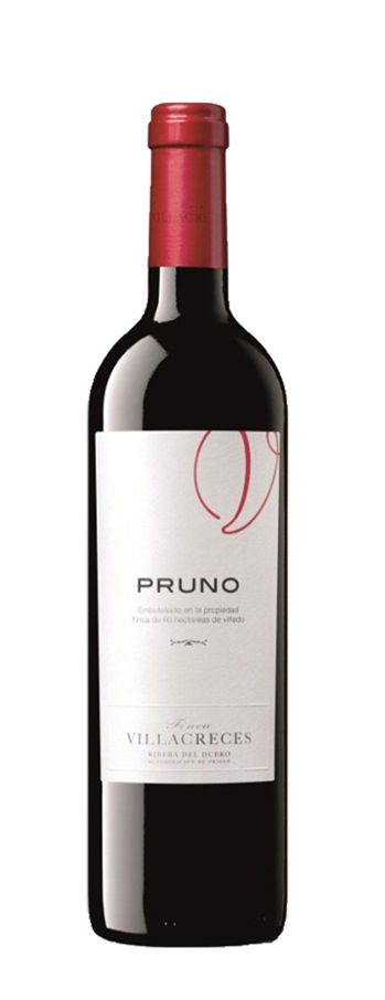 Pruno 2023